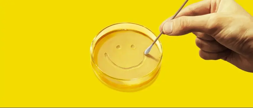 Топ-10 найочікуваніших серіалів листопада 2025 року: прем’єри та продовження