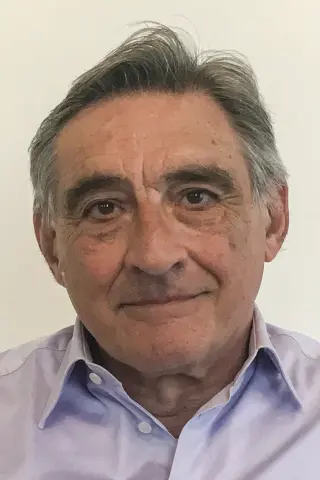 Ahmet İnsel