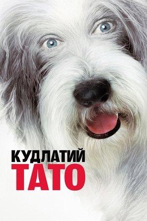 Кудлатий пес