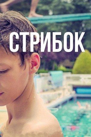 Стрибок