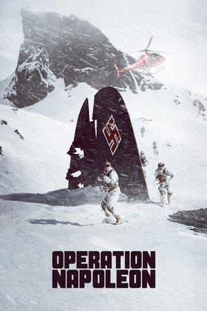 Операція «Наполеон»