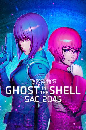Привид у латах: SAC_2045