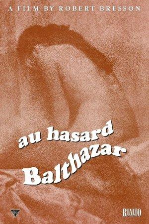 Навмання, Бальтазаре
