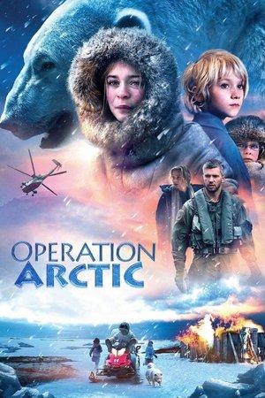 Операція «Арктика»