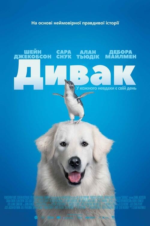 Постер фільму Дивак