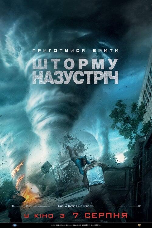 Постер фільму Шторму назустріч
