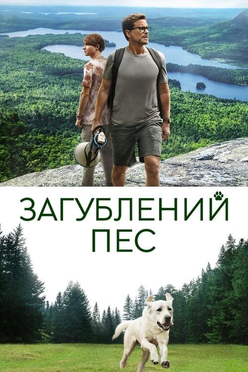 Постер фільму Загублений пес