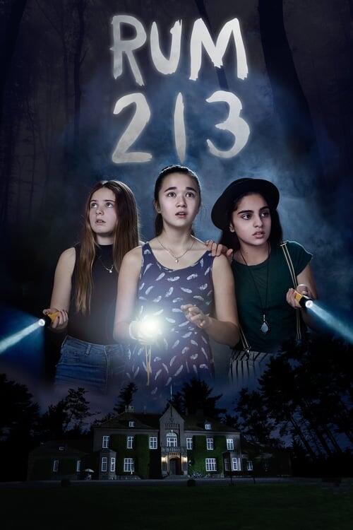 Постер фільму Кімната 213