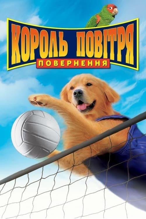 Постер фільму Король повітря. Повернення