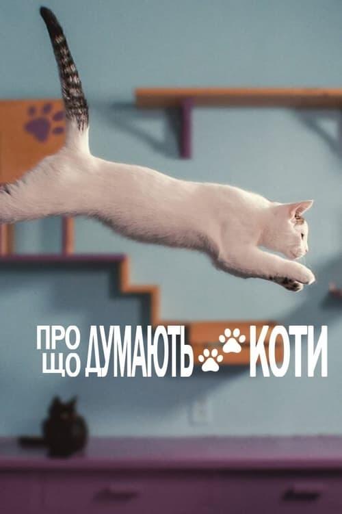 Постер фільму Про що думають коти