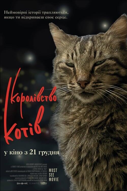 Постер фільму Королівство котів