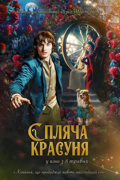 Постер фільму Спляча красуня