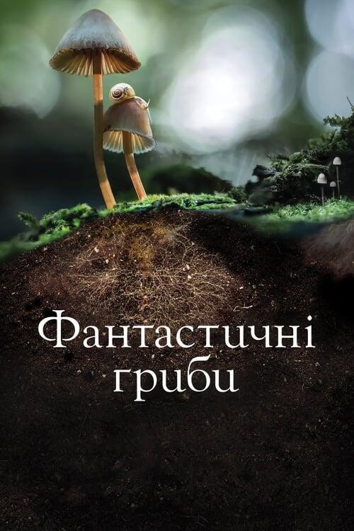 Постер фільму Фантастичні гриби