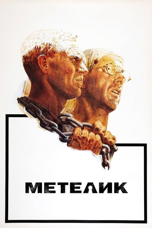 Постер фільму Метелик