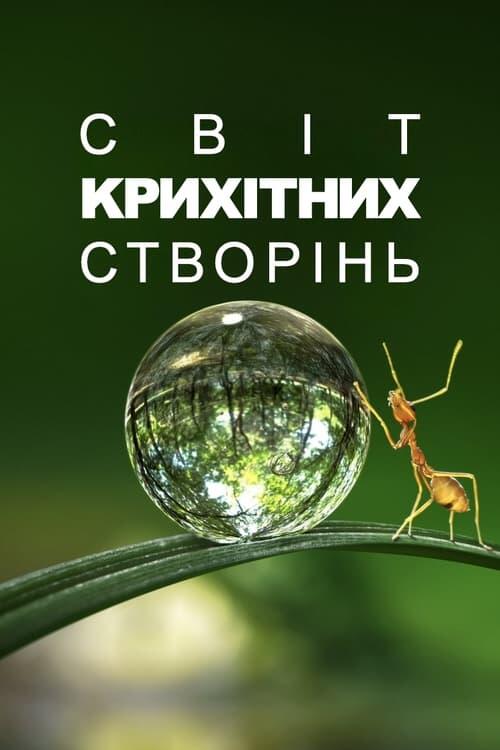 Постер серіалу Крихітний світ