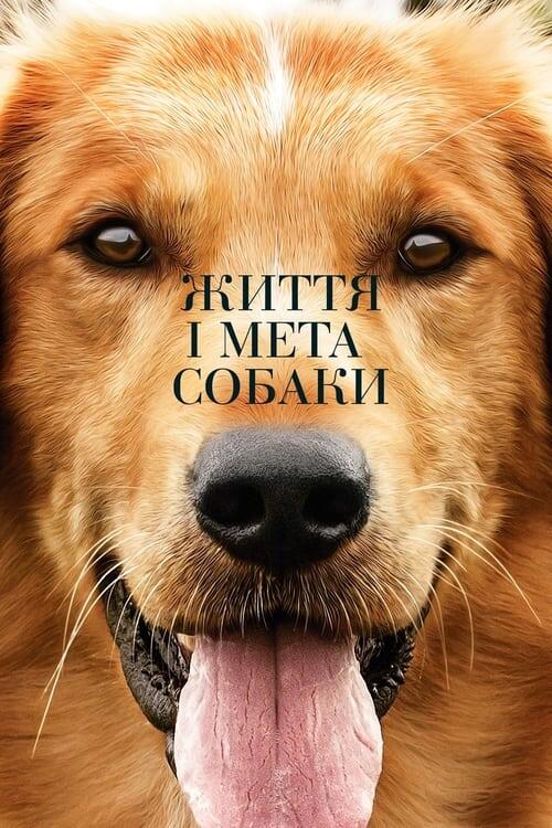 Постер фільму Життя і мета собаки