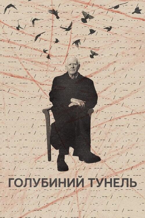 Постер фільму Голубиний тунель