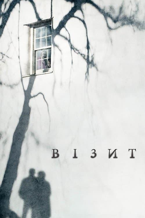 Постер фільму Візит