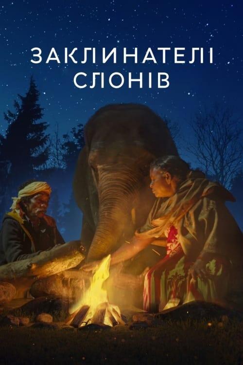 Постер фільму Заклинателі слонів