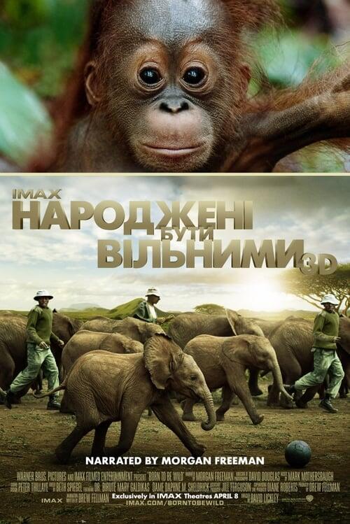 Постер фільму Народжені бути вільними