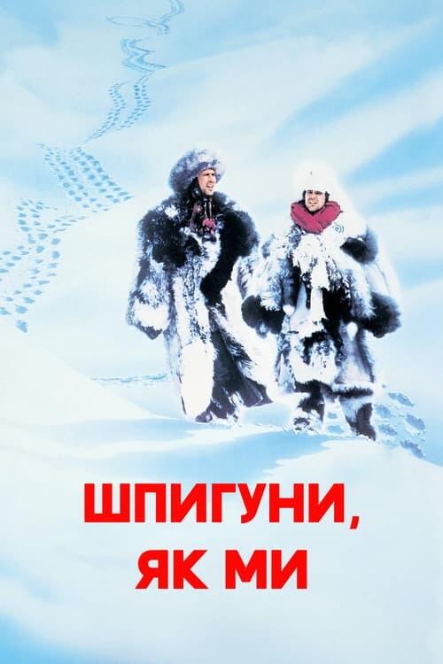 Постер фільму Шпигуни як ми