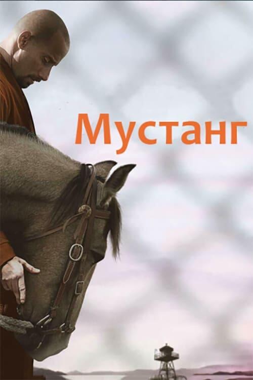 Постер фільму Мустанг