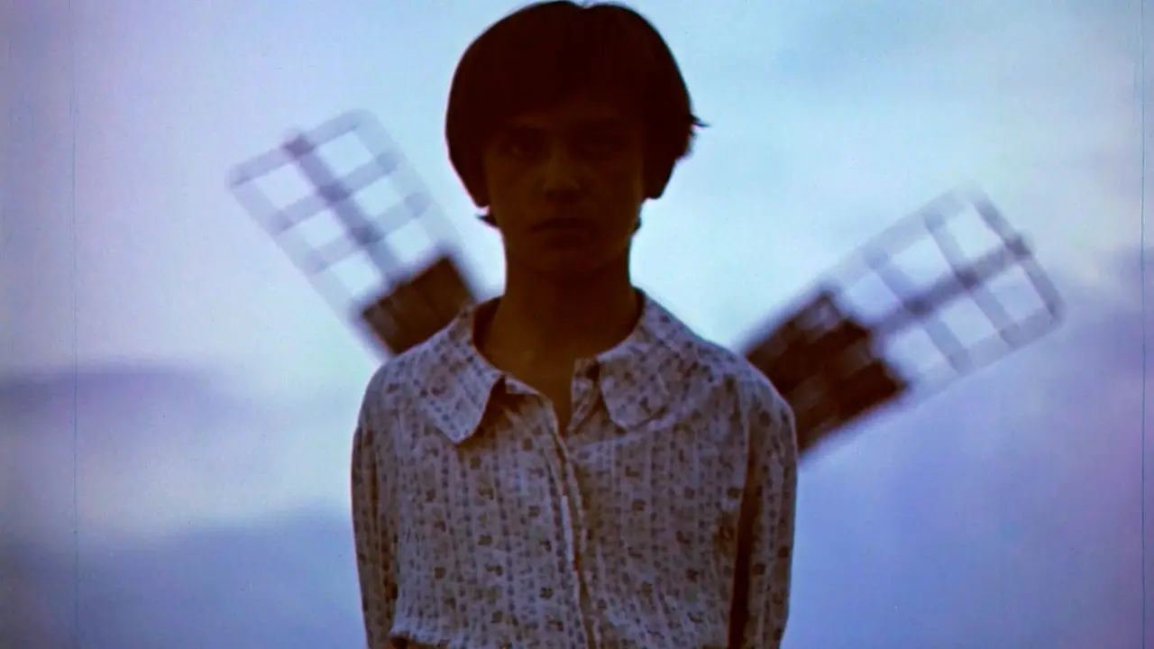 A bird from the blue sky