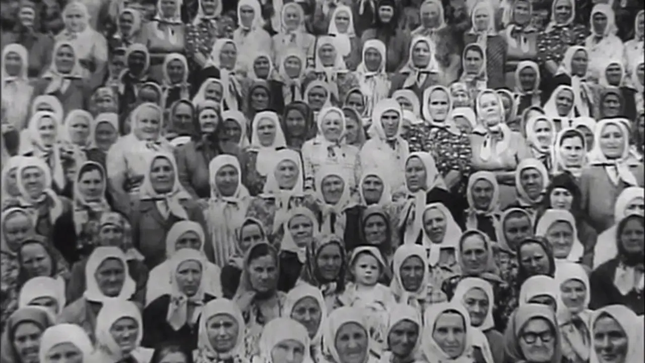 Soldier's Widows