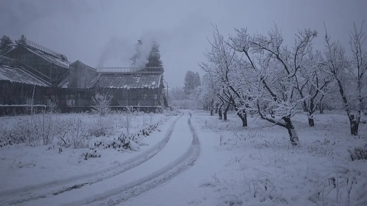 The Winter Garden's Tale