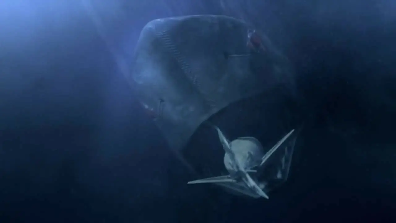 Mega Shark vs. Mecha Shark