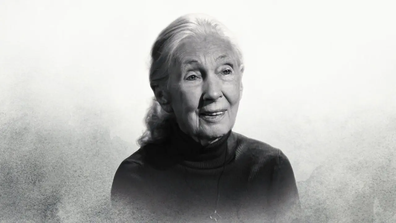 Famous Last Words: Dr. Jane Goodall