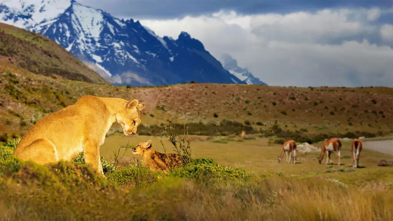 Our Great National Parks