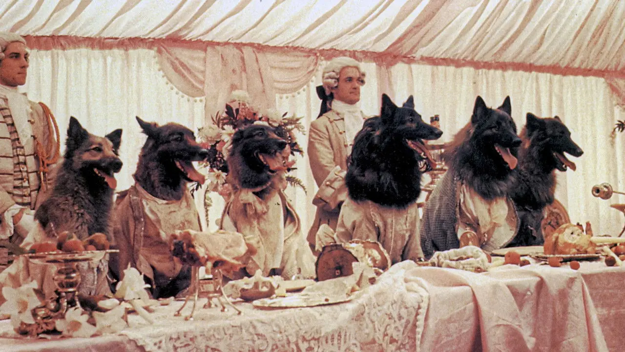 The Company of Wolves