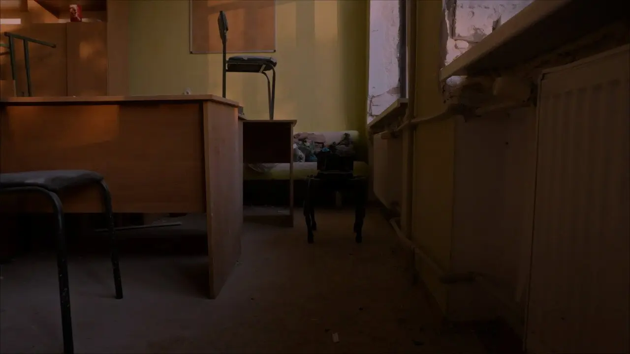 Відкритий світ
