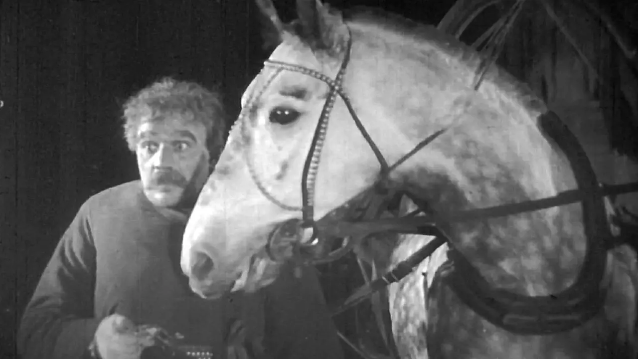 Night Coachman