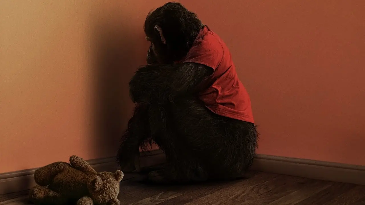 Primate