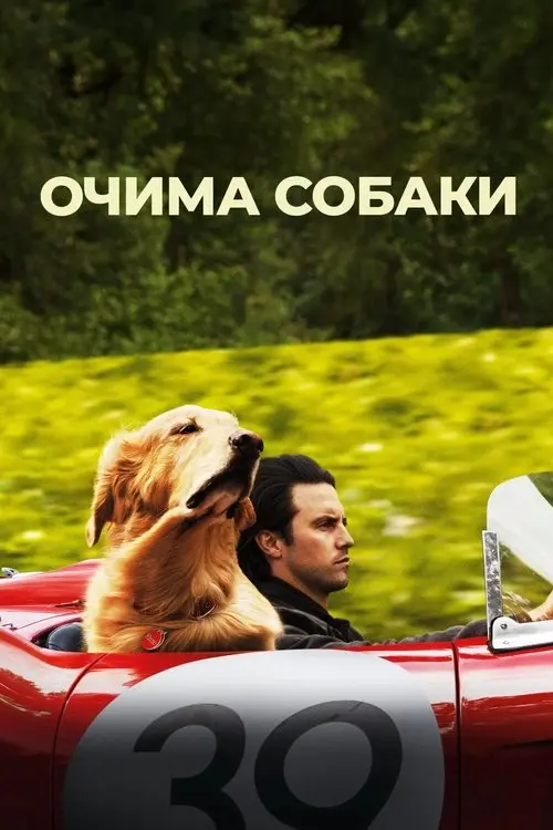 Постер фільму Очима собаки