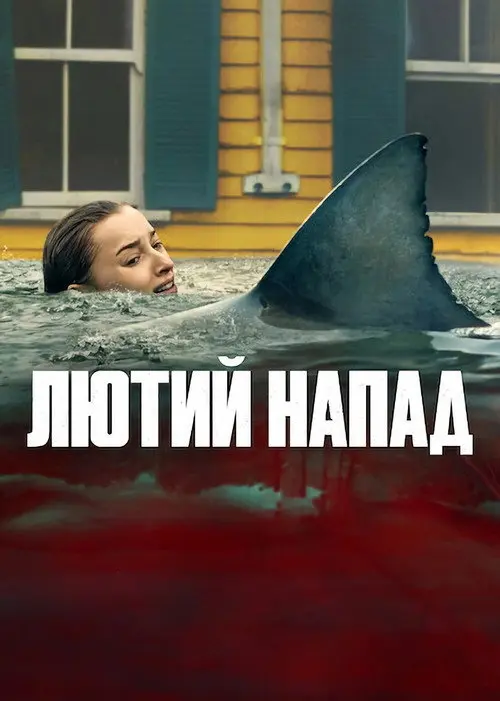 Постер фільму Лютий напад