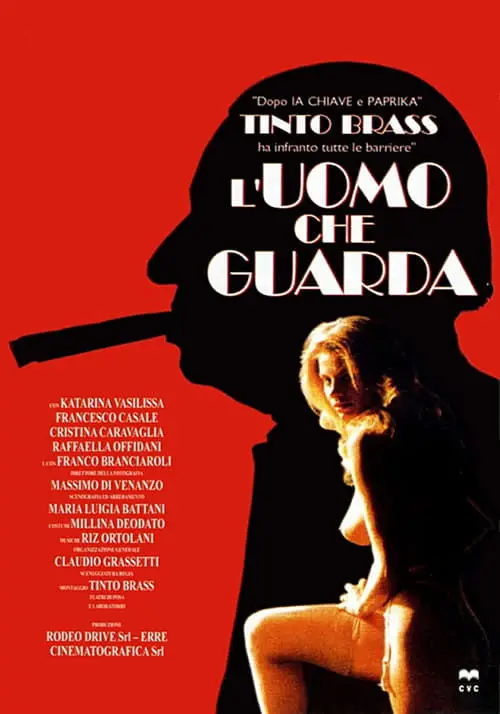 Постер фільму Підглядач