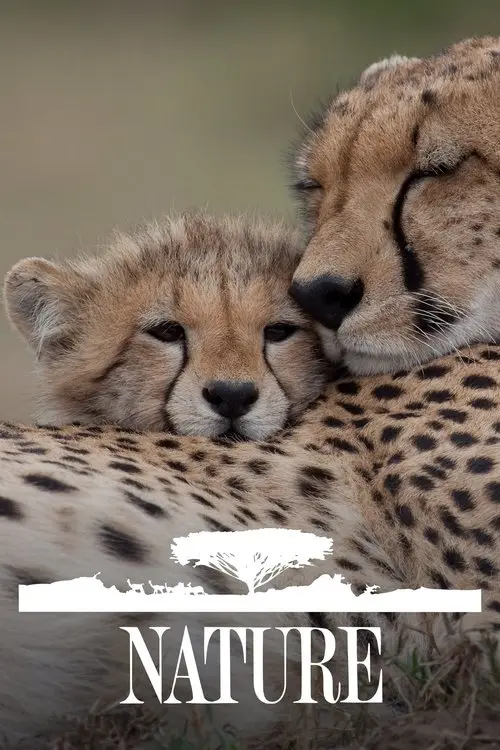 Постер серіалу Природа