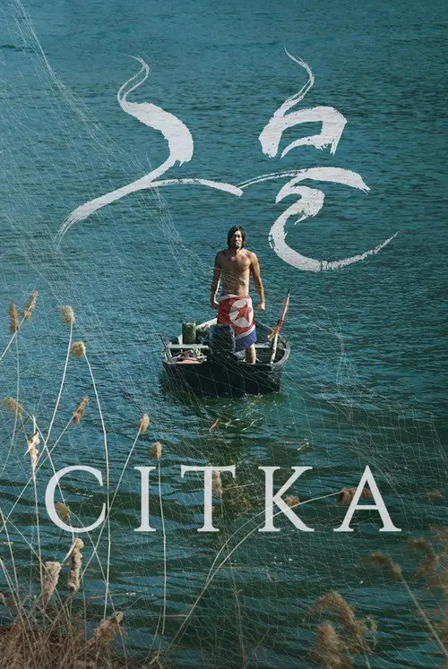 Постер фільму Сітка