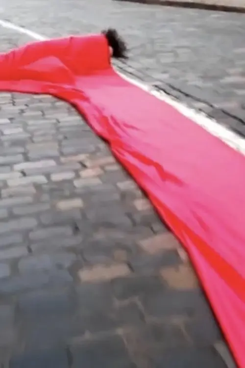 Постер фільму Вулиця Інститутська