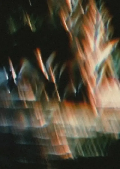 Постер фільму Таємничий сад