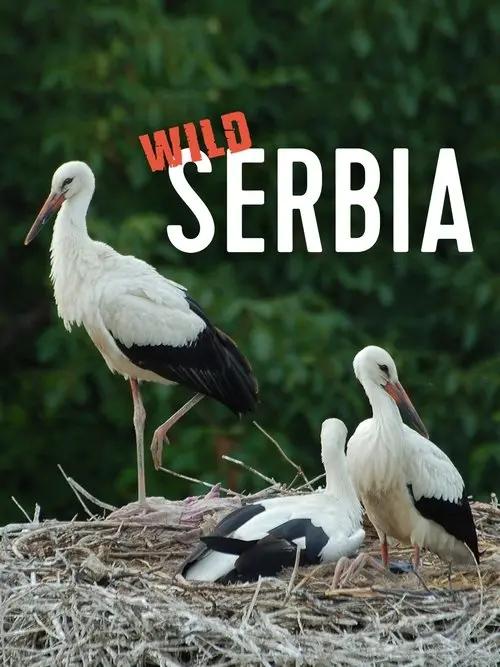 Постер фільму Дика Сербія