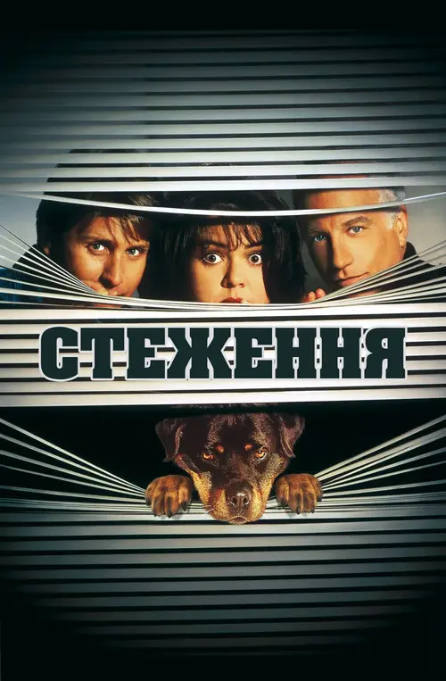 Постер фільму Стеження 2