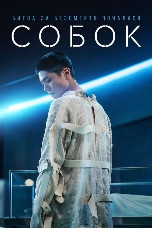 Постер фільму Собок