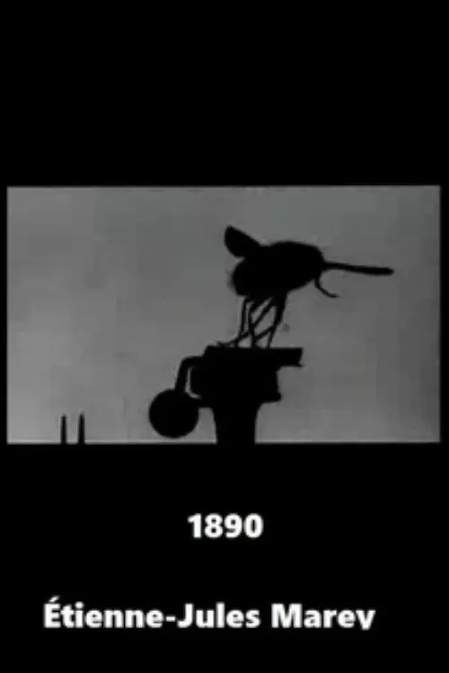 Постер фільму Маленька мушка