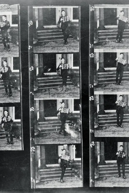 Постер фільму Акордеоніст