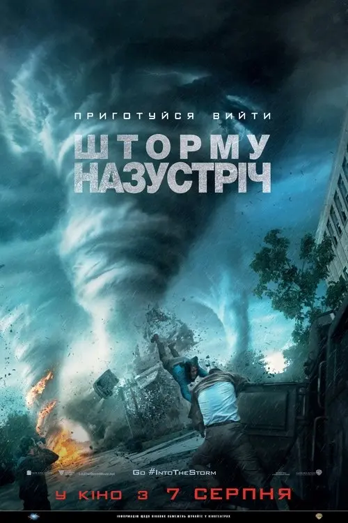 Постер фільму Шторму назустріч
