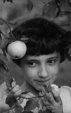 Постер фільму Злодій